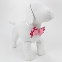 Borboleta pra Cachorro 